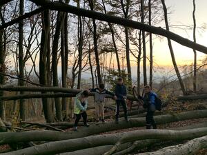 R�dinghausen 1
