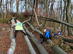 R�dinghausen 2